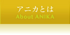 ˥Ȥ - About ANIKA