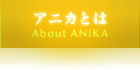 ˥Ȥ - About ANIKA