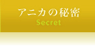 アニカの秘密 - Secret