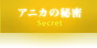 ˥̩ - Secret