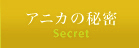 ˥̩ - Secret