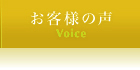 ͤ - Voice