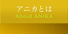 ˥Ȥ - About ANIKA