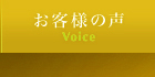 ͤ - Voice