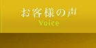 ͤ - Voice