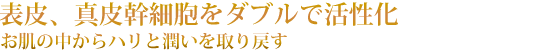 環境ストレスに負けないバリア機能アップ
