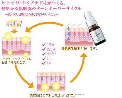 図4